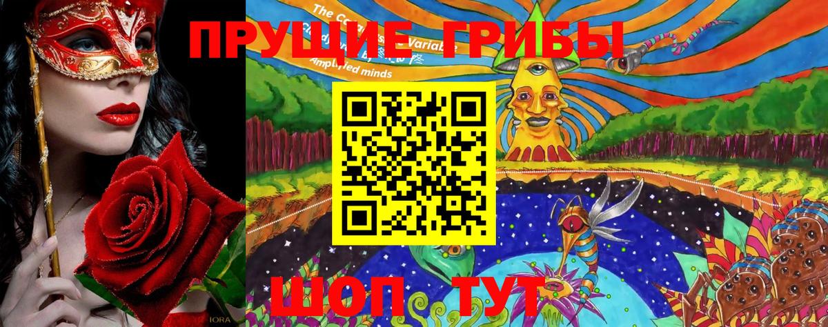 Сосновый Бор  продажа наркотиков  Вход с VPN  Псилоцибиновые грибы мицелий 