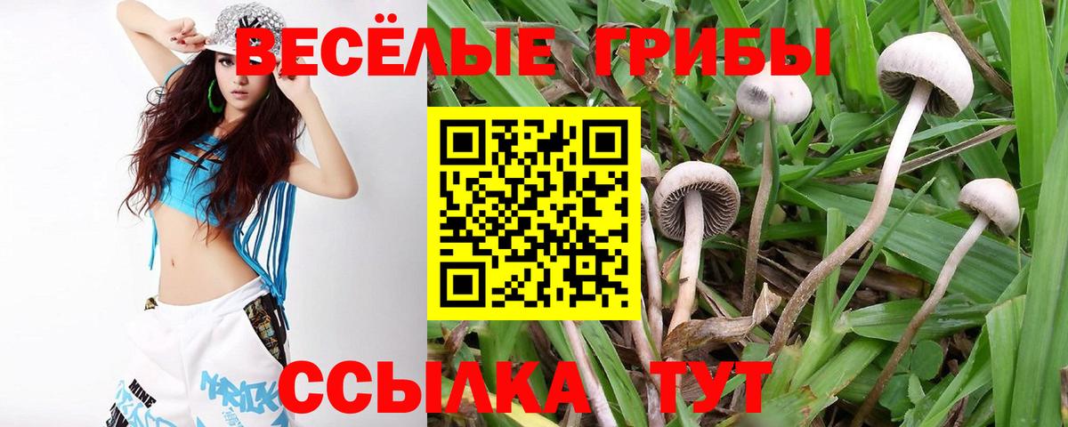 Галлюциногенные грибы GOLDEN TEACHER Сосновый Бор